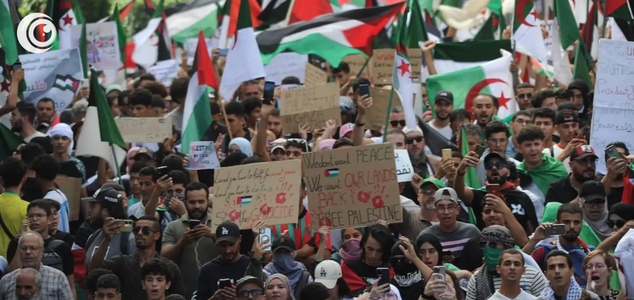 Mass protests erupt across Islamic countries following the fatwa of jihad against Israel.