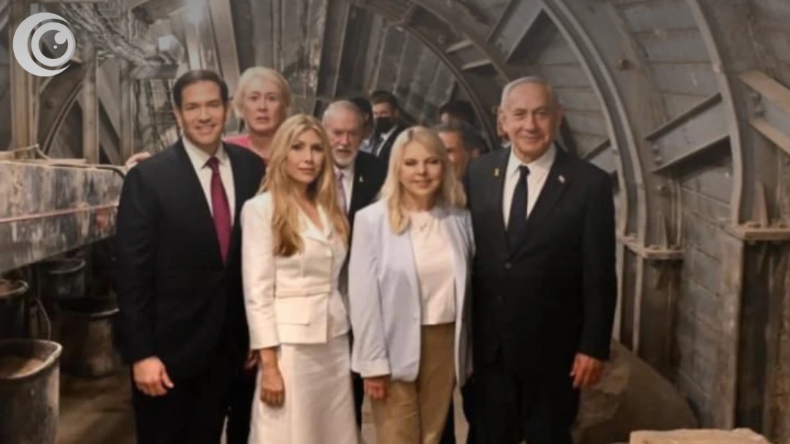 Untitled design (19)