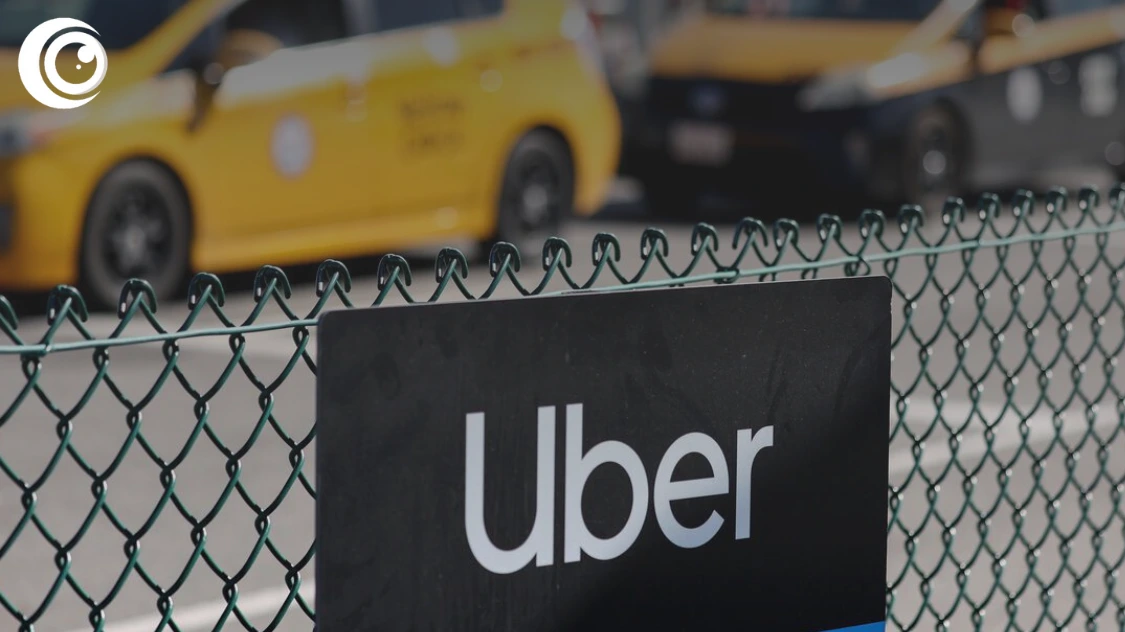 Untitled design (29)