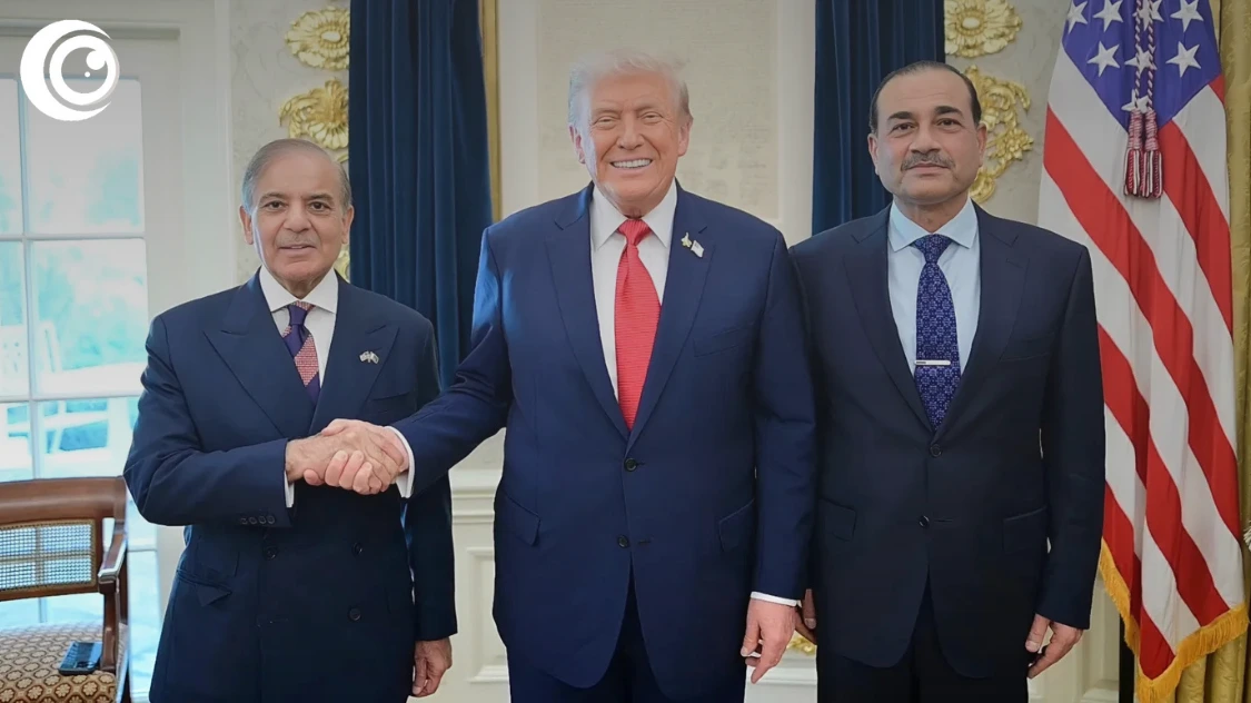 Untitled design (32)