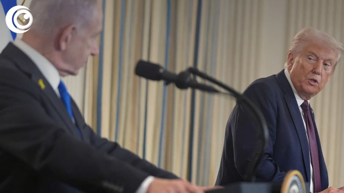 Untitled design (33)