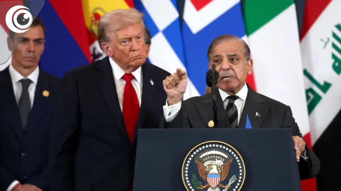 Untitled design (42)