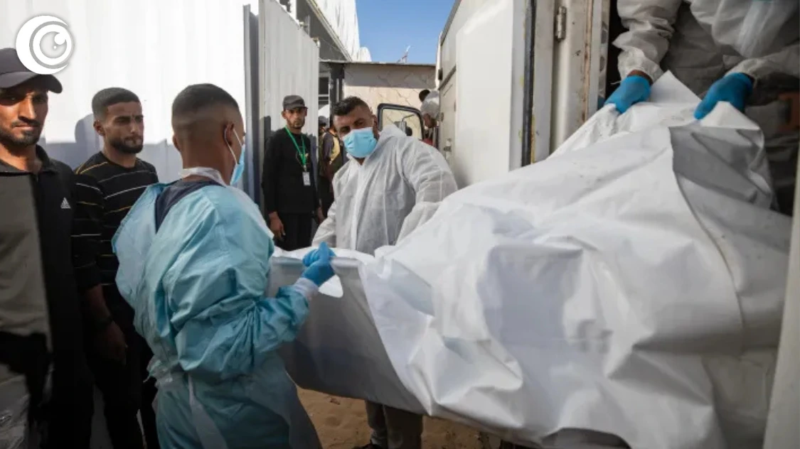 Untitled design (44)