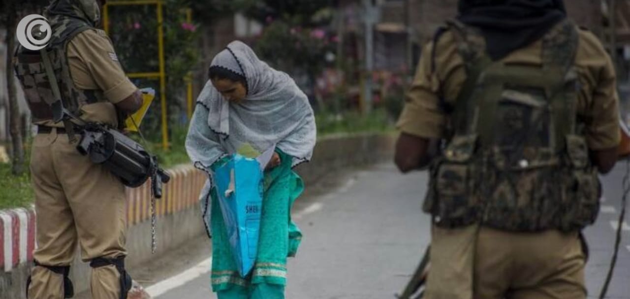 WhatsApp Image 2025-11-10 at 8.56