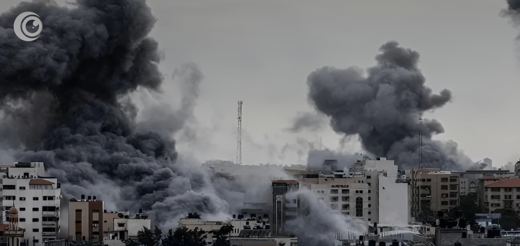 Copy of Untitled (8)