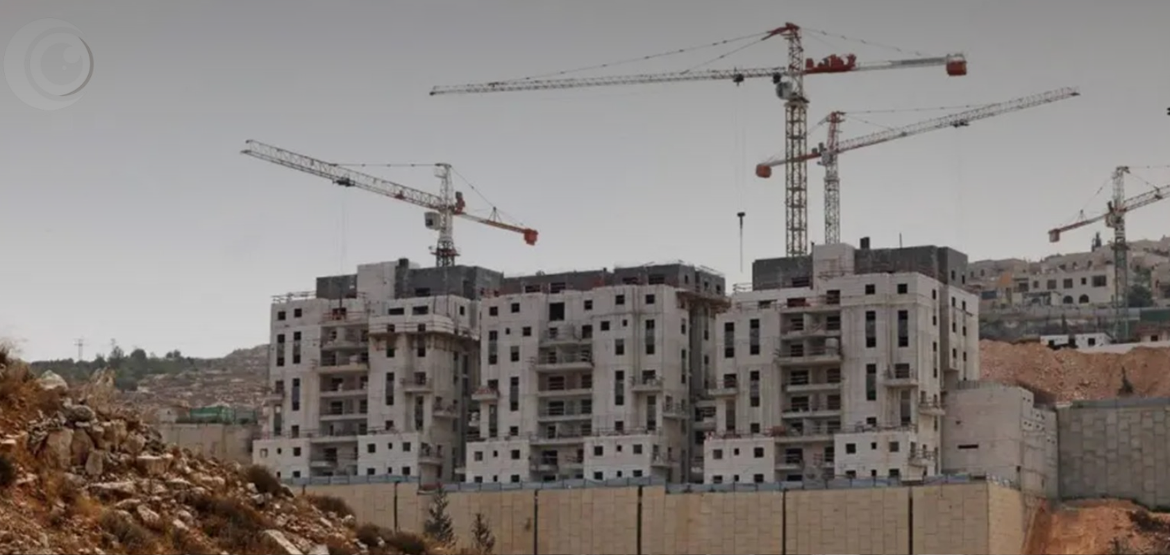 Copy of Untitled (8)